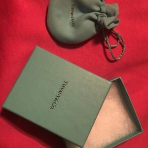 New Tiffany & Co. earrings